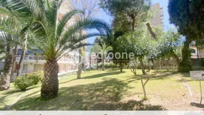 Apartment in Playa San Juan photo 41