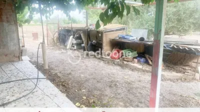 Chalet in Novelda photo 35