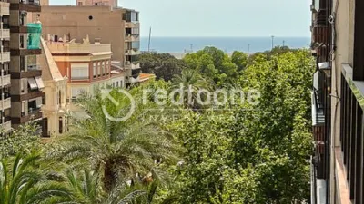 Apartment in Ensanche photo 44