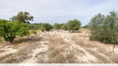 Chalet in Novelda photo 45