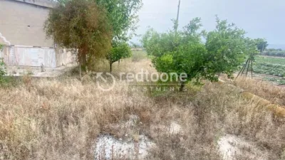 Chalet in Novelda photo 40