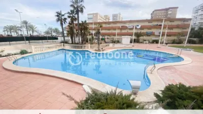 Pis – Alacant / Alicante, l'Alacantí - Vista 2