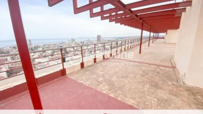 Apartment in Mercado photo 57