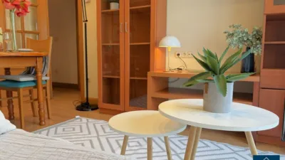 Flat on Luistarrak Kalea photo 2