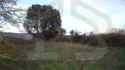 House in Quintanalacuesta photo 20
