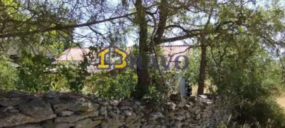 Property for Sale photo 4