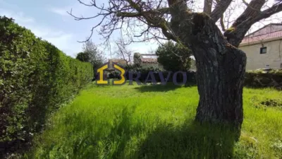 House in Cinguenza photo 8