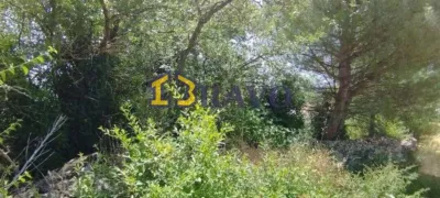 Property for Sale photo 2