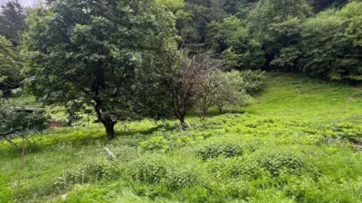 House in Berrobi photo 9