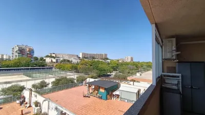 Flat in Garbinet photo 8