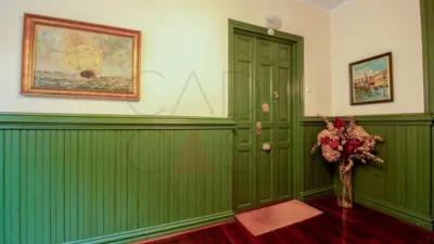 Apartment on General Francisco Díaz Pimienta Street photo 8
