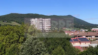 Apartment on Calle de Sorgintzulo photo 13