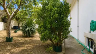 House in Barrio de Triana, 6 photo 48