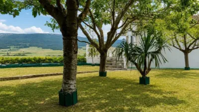 House in Barrio de Triana, 6 photo 29