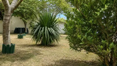 House in Barrio de Triana, 6 photo 44
