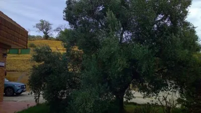 Chalet on Carretera Campanas Street, No. 5 photo 33