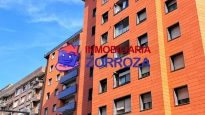 Apartment on Zorrotza-Kastrexana Road photo 29