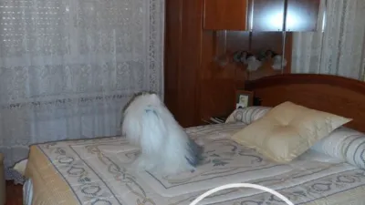 Apartment in Medina de Pomar photo 12