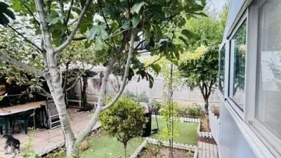 Bungalow on Calle Mayor photo 16