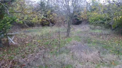 House in Salazar photo 17