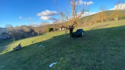 House in Perex de Losa photo 21