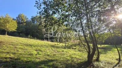 House in Amorebieta photo 5