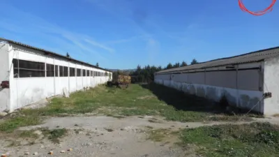 Rustic farm in Gallipienzo - Galipentzu photo 11