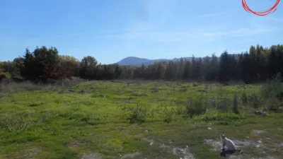 Rustic farm in Gallipienzo - Galipentzu photo 12