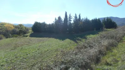 Rustic farm in Gallipienzo - Galipentzu photo 14