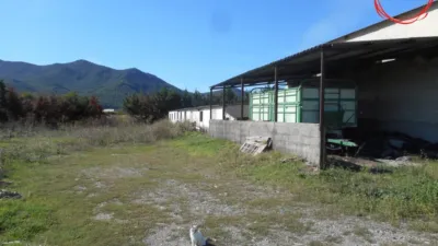 Rustic farm in Gallipienzo - Galipentzu photo 25