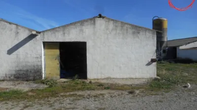 Rustic farm in Gallipienzo - Galipentzu photo 5