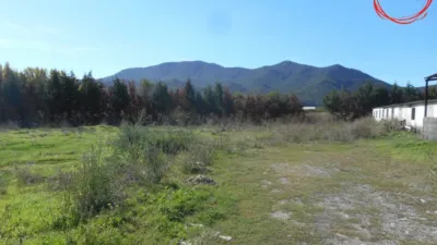 Rustic farm in Gallipienzo - Galipentzu photo 7