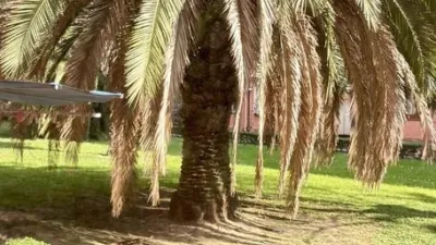 Piso en venta en Agirre Lehendakariaren Etorbidea, cerca de Calle Etxepare, San Ignazio-Elorrieta (Distrito Deustu. Bilbao) de 335.000 €