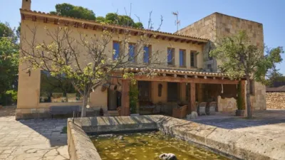 House on Calle Partida La Obrera photo 15