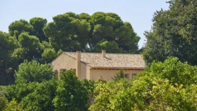 House on Calle Partida La Obrera photo 39