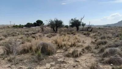 Terreno en venta en Calle Camino de La Ermita del Salar - Vista 5