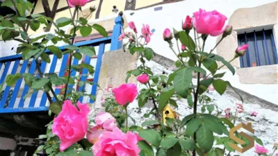 House for sale in Bedia, 3%+VAT photo 3