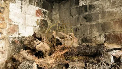 House in Tafalla photo 46