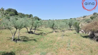 Rustic property in Miranda de Arga photo 10