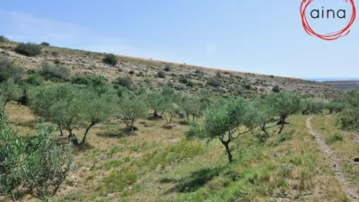 Rustic property in Miranda de Arga photo 5