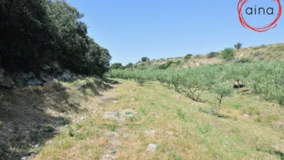 Rustic property in Miranda de Arga photo 6