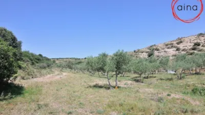 Rustic property in Miranda de Arga photo 7