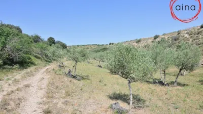 Rustic property in Miranda de Arga photo 9