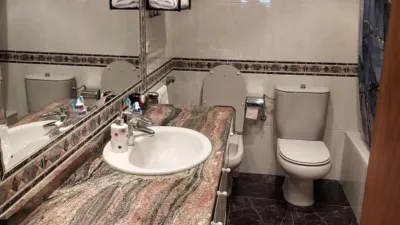 Apartment in Goiuria photo 15