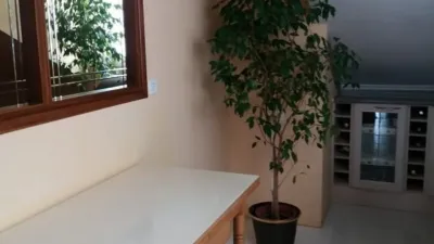 Apartment in the City Centre photo 23
