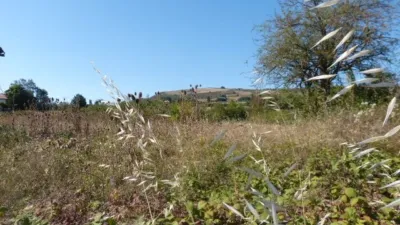 Casa en Casa A La Venta, Ideal Negocio Rural en Espinosa de los Monteros Con Terreno photo 4
