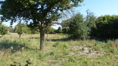 Casa en Casa A La Venta, Ideal Negocio Rural en Espinosa de los Monteros Con Terreno photo 5