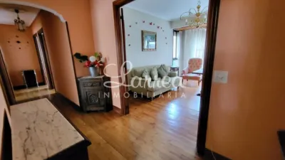 Apartment in Amorebieta photo 8
