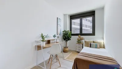Apartment at Carrer Joaquim Gonzàlez I Caturla, No. 13 photo 20