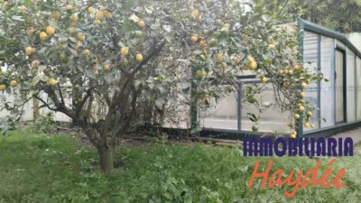 House in Santa Ana photo 14